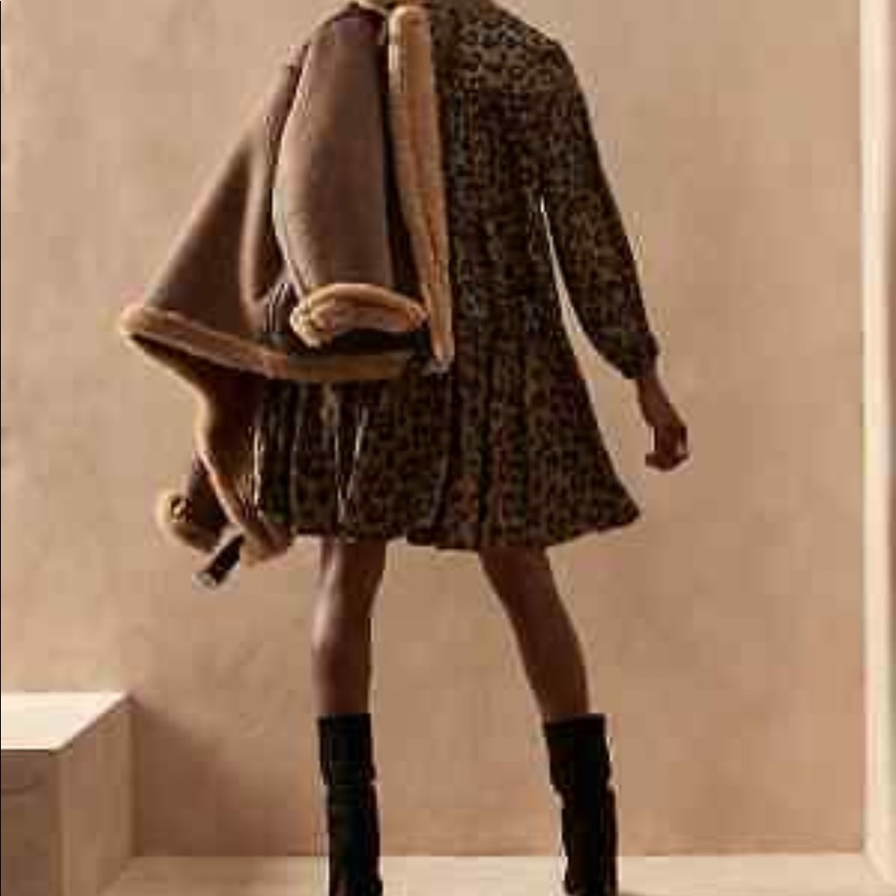 Banana Republic Leopard Trapeze Dress M